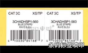 R1电池标签可变喷印系统技术参数 Technical Parameters